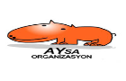 aysa